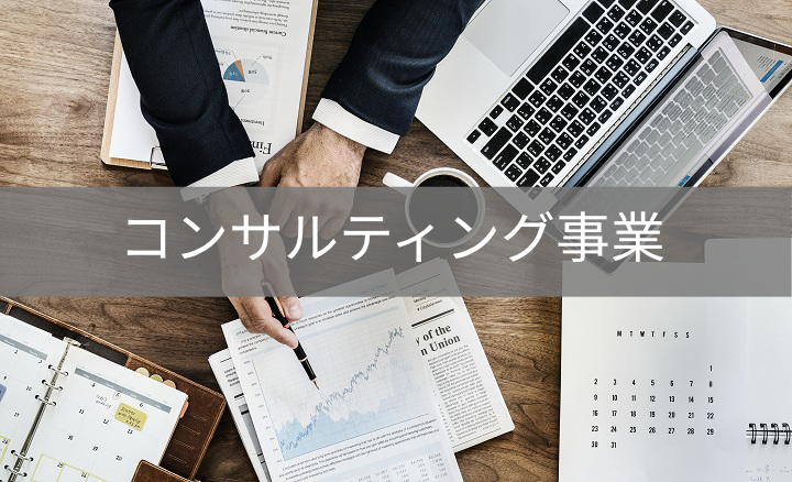 Consultancy / コンサルティング事業